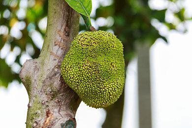 3A级画质！第一人称动作RPG《命运守护者》公布